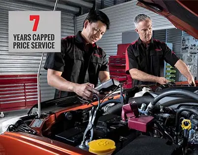 7 Years Capped Price Servicing